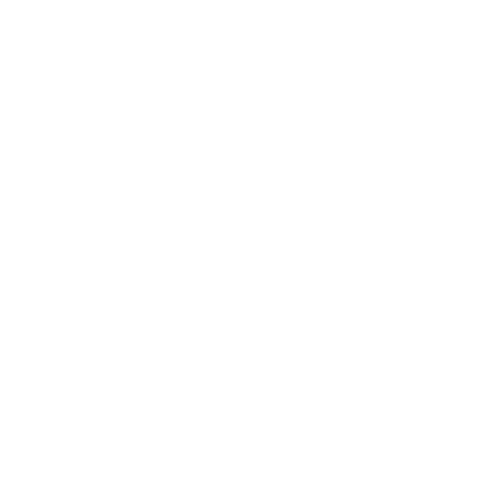 vivishopping